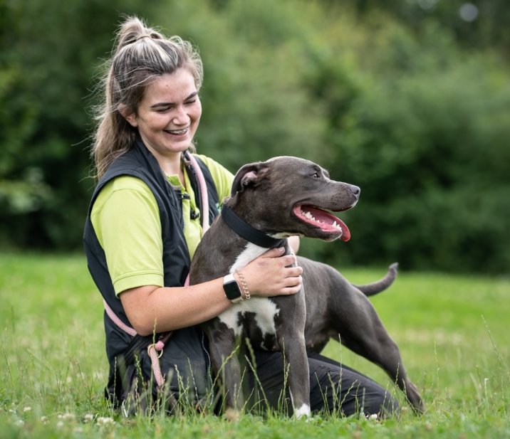 Birmingham Dogs Home Volunteering