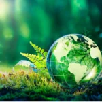 Sustainable Lifestyle